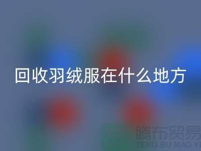 ### 高價回收羽絨服在什么地方—誠信可靠合作，上海騰布貿易