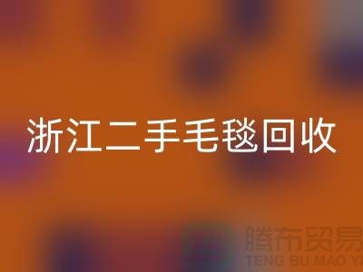 二手毛毯回收，舊物新生的【浙江，上海，江蘇】綠色的庫存之旅