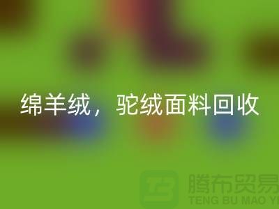 山羊絨回收，綿羊絨回收，駝絨面料回收——上海布料廠家的環(huán)保行動(dòng)