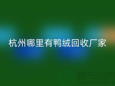 揭秘羽絨回收市場(chǎng)，每斤價(jià)值幾何？杭州鴨絨回收廠家