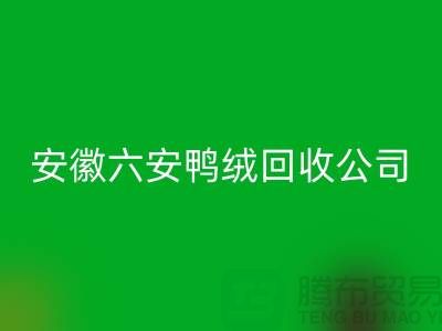 讓羽絨回收加工成為綠色產業的新引擎-安徽六安鴨絨回收公司