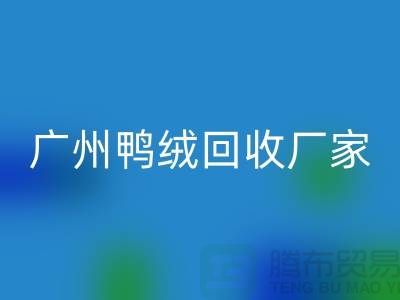 綠色循環，讓羽絨回收成為重慶的新時尚-廣州鴨絨回收廠家