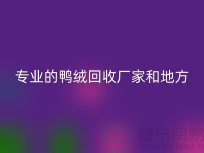 探索鴨絨回收：尋找上海專業(yè)的回收廠家與地方
