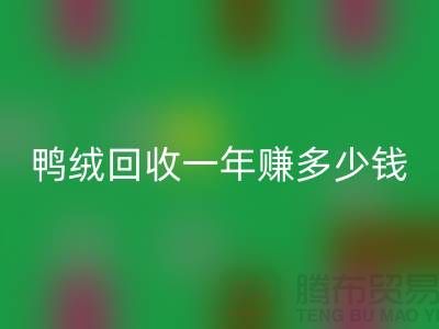鴨絨回收一年掙多少錢？揭秘利潤與環(huán)保的雙重收益