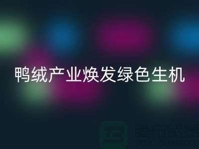 **標題：新國標引領下，杭州鴨絨產業煥發綠色生機**