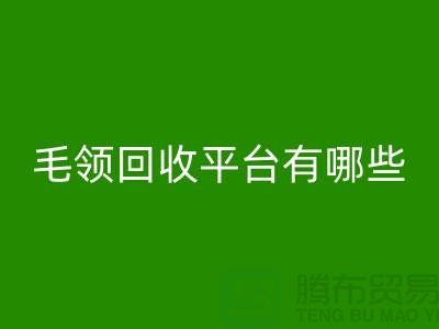 毛領(lǐng)回收平臺(tái)有哪些公司或者品牌
