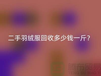 《二手羽絨服回收多少錢一斤？》