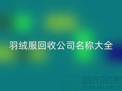# 二手羽絨服回收公司名稱大全：環保與時尚的新選擇