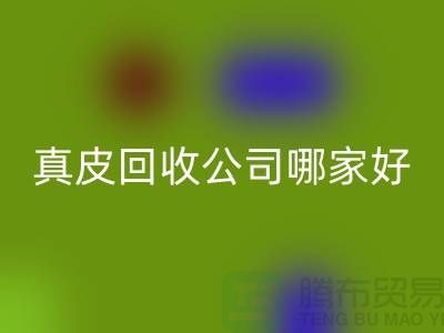 真皮回收公司哪家好？如何選擇優質的真皮回收公司