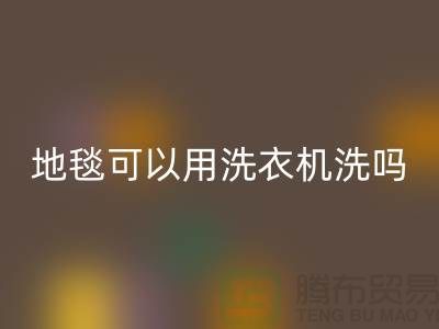 地毯可以用洗衣機洗嗎? 如何洗凈你的地毯