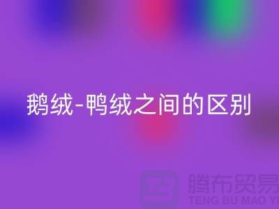 關(guān)于鵝絨-鴨絨之間的區(qū)別-鵝絨回收-鴨絨回收-羽絨回收廠家