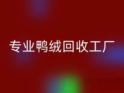專業(yè)鴨絨回收工廠-專業(yè)鴨絨回收價格-庫存鴨絨回收廠家