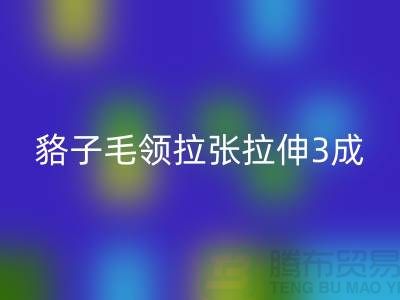 貉子毛領(lǐng)的皮張拉伸3成，痕跡客戶也看不出來-回收毛領(lǐng)廠家