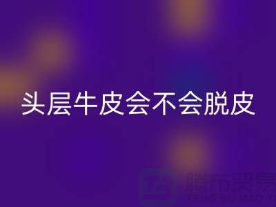 ### 頭層牛皮：真皮中的佼佼者