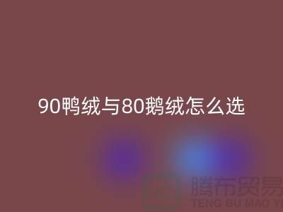 90鴨絨與80鵝絨怎么選好？一篇文章為你解惑！上海騰布貿易