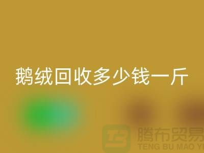 白羽絨回收：附近鴨絨回收價格，鵝絨回收多少錢一斤，專業(yè)廠家為您提供服務(wù)