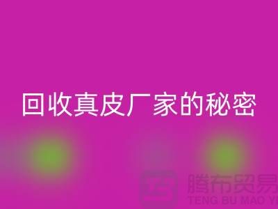 回收真皮廠家的秘密：打造環(huán)保時(shí)尚的循環(huán)經(jīng)濟(jì)