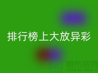 想知道哪些拉鏈品牌在排行榜上大放異彩？