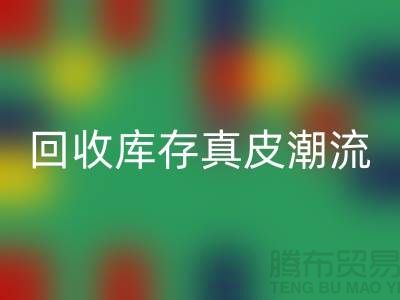 環(huán)保大作：回收庫存真皮引領(lǐng)時尚潮流