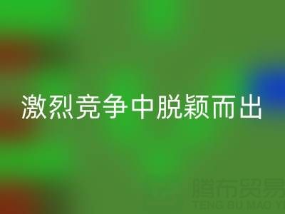 上海庫存布料回收市場(chǎng)：如何在激烈競(jìng)爭(zhēng)中脫穎而出