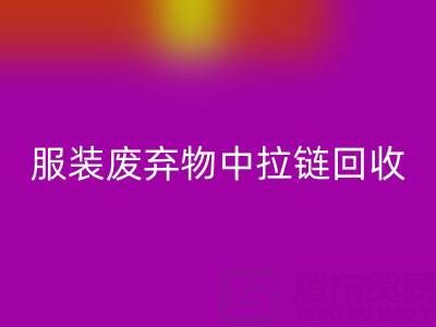 服裝廢棄物中拉鏈回收的特殊性及應(yīng)對措施