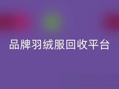 長款羽絨服回收指南：品牌羽絨服回收與羽絨服收購平臺哪家好？