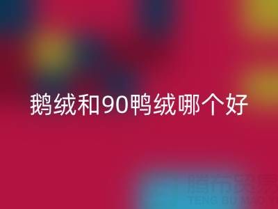 90白鵝絨和90鴨絨哪個好？羽絨生產廠家的深度解析